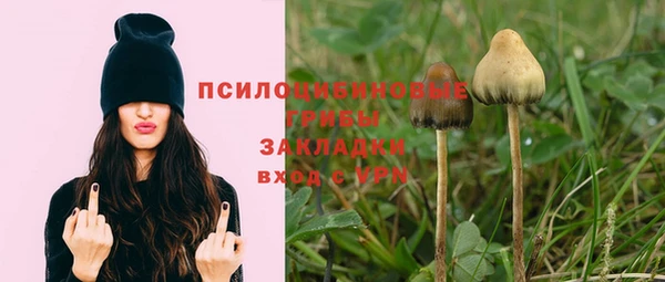 соль ск Алексин