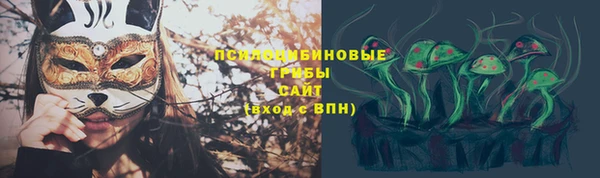 соль ск Алексин