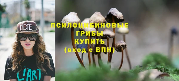 spice Алзамай
