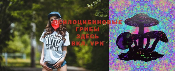 spice Алзамай