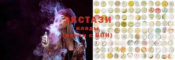 хмурый Аркадак