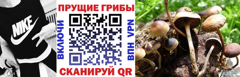 Галлюциногенные грибы ЛСД  Пустошка 